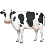 cow-facebook.png