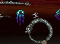 qui.png