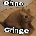 download.jpg