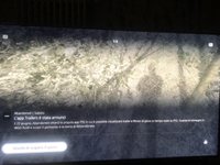 3851FD54-0B94-47AF-8665-0E95DCD8F93E.jpeg