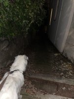 IMG_6419.jpeg