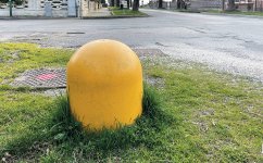 IMG_1684.jpeg