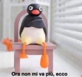 IMG_1932.jpeg