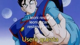 IMG_2372.jpeg