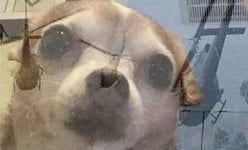 IMG_2921.jpeg