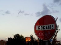 IMG_3805.jpeg