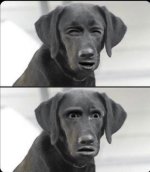 1000024897.jpg