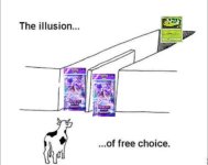 IMG_3798.jpeg