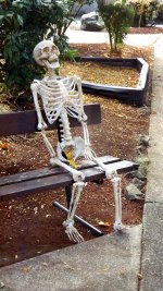 skeleton-6586704_960_720.jpg
