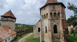 20190713-123947-largejpg.jpg