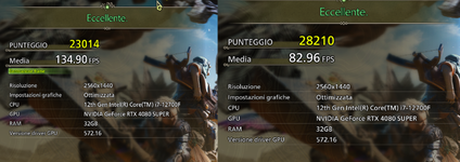 wild.webp