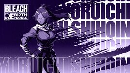 Bleach2024_PC-BG_05_Yoruichi Shihoin.jpg