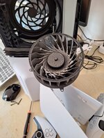 pro6.jpg