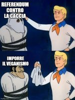 5ni2sz.jpg