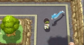 1637517655900.png