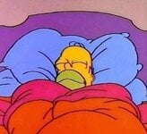 Homer-Simpson-sleeping-peacefully-thumbnail-url-2rfd59.jpg