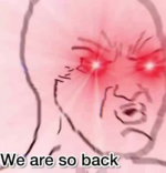1747037097759.png
