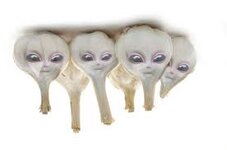 images.jpg