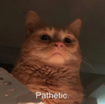 1749536942237.png