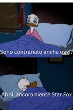 IMG_5646.jpeg