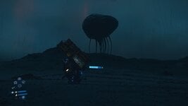 IMG_5701.jpeg