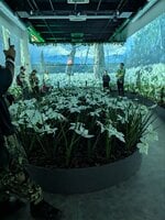 IMG_20250806_100830_102.jpg