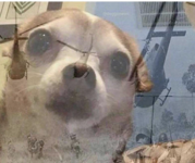 1755723610911.png