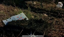 IMG_5583.jpeg