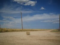 Tumbleweed_rolling.jpg Tumbleweed_rolling.jpg