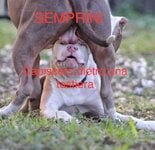 IMG_5648.jpeg