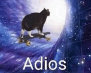 1763575258638.png