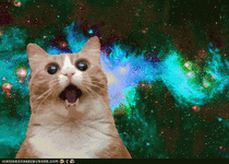 fc27d6b324431b73e38c600ecb538f09.gif fc27d6b324431b73e38c600ecb538f09.gif
