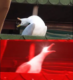 1770577635747.png