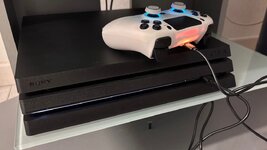 IMG_6282.jpeg