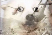 1772887217698.png