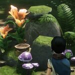 IMG_1594.jpeg IMG_1594.jpeg