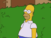 IMG_1597.gif IMG_1597.gif