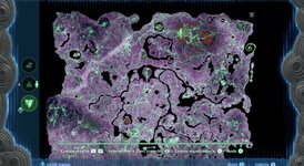 IMG_0329.jpeg
