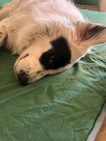 IMG_8261.jpeg