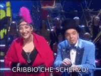 dibiase-nuzzo.gif dibiase-nuzzo.gif
