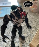 IMG_7339.jpeg