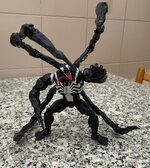 IMG_7343.jpeg