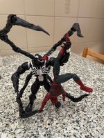 IMG_7342.jpeg