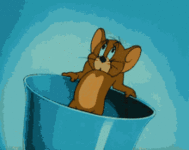 IMG_4161.gif
