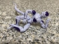 IMG_7597.jpeg