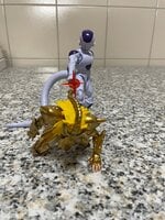 IMG_7600.jpeg