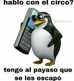 1642722813048.jpeg