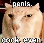1788953048518.webp