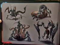 IMG_1978.jpeg