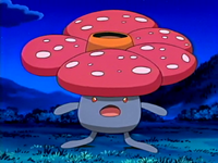 IMG_1982.png